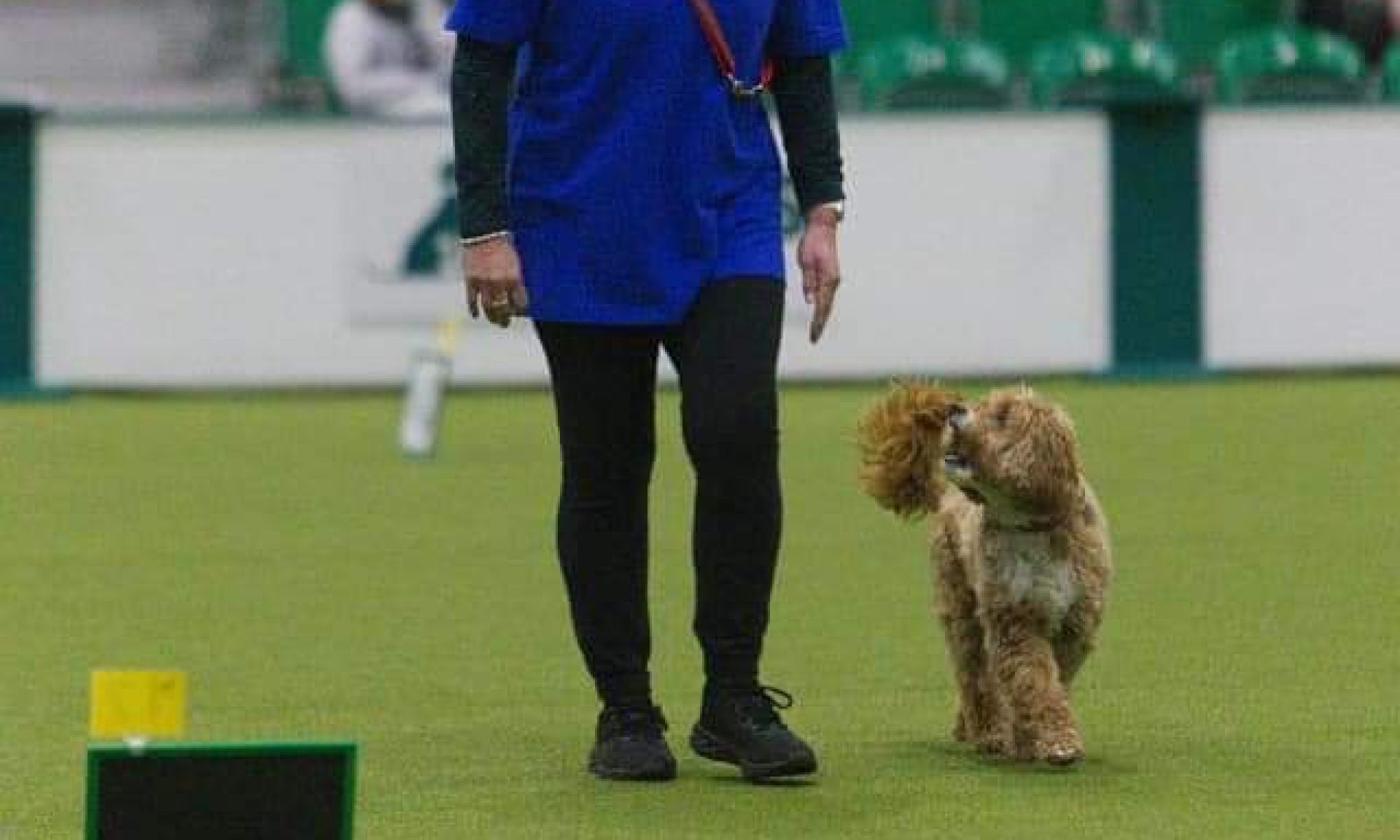Aberdeen Canine Training Society